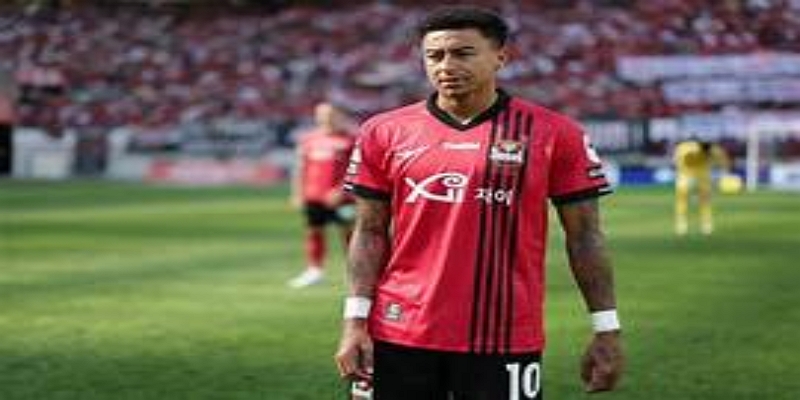 未来展望与风险评估-九游娱乐